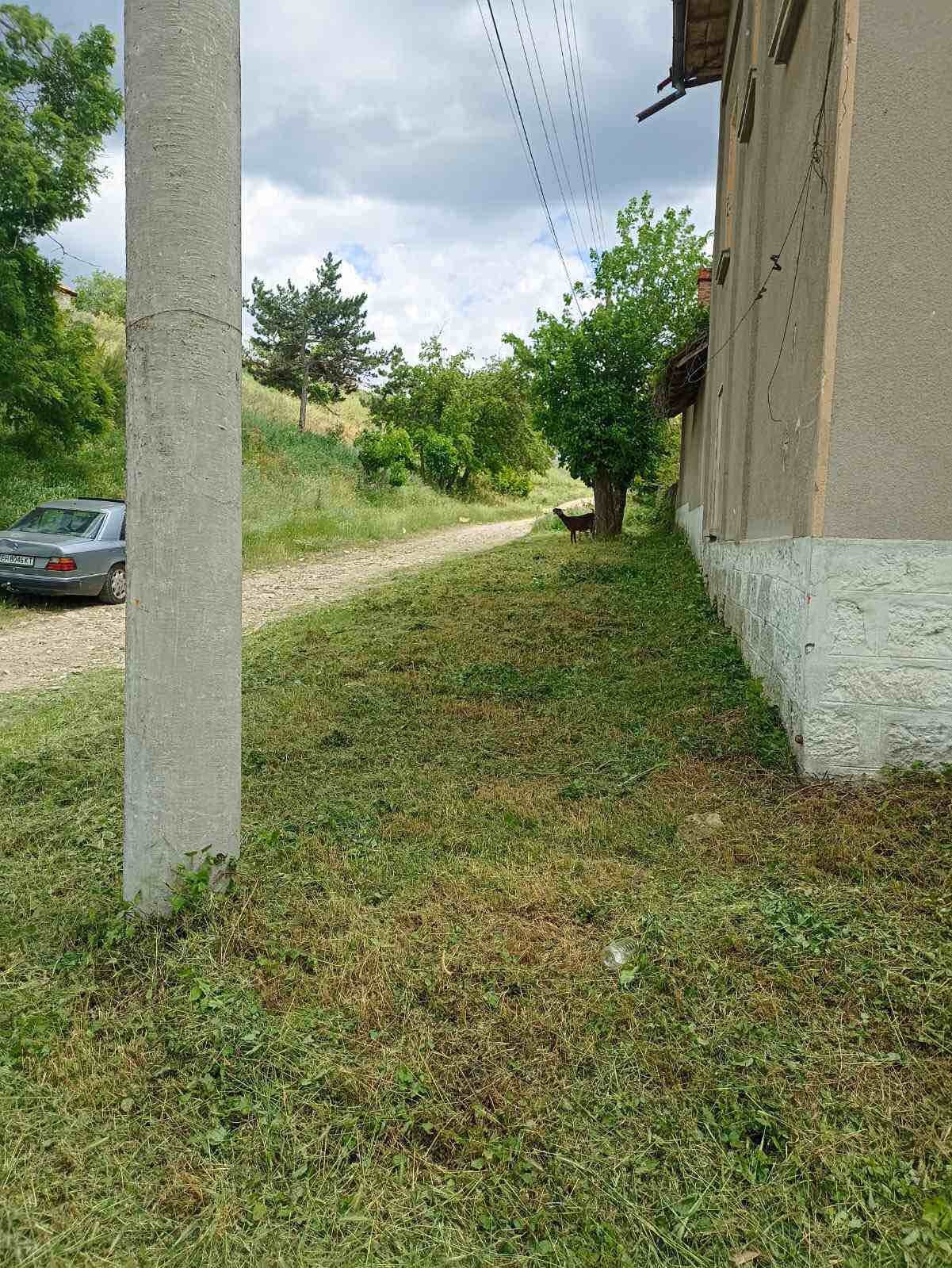 Продава КЪЩА, с. Петърница, област Плевен, снимка 15 - Къщи - 54602710