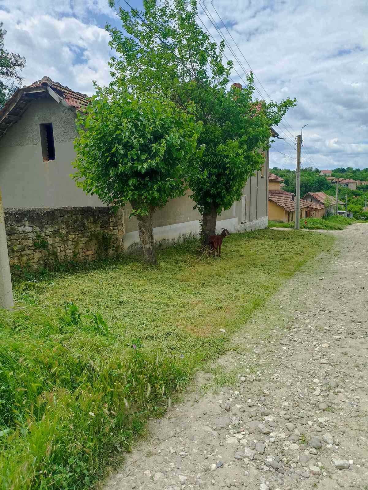 Продава КЪЩА, с. Петърница, област Плевен, снимка 17 - Къщи - 54602710