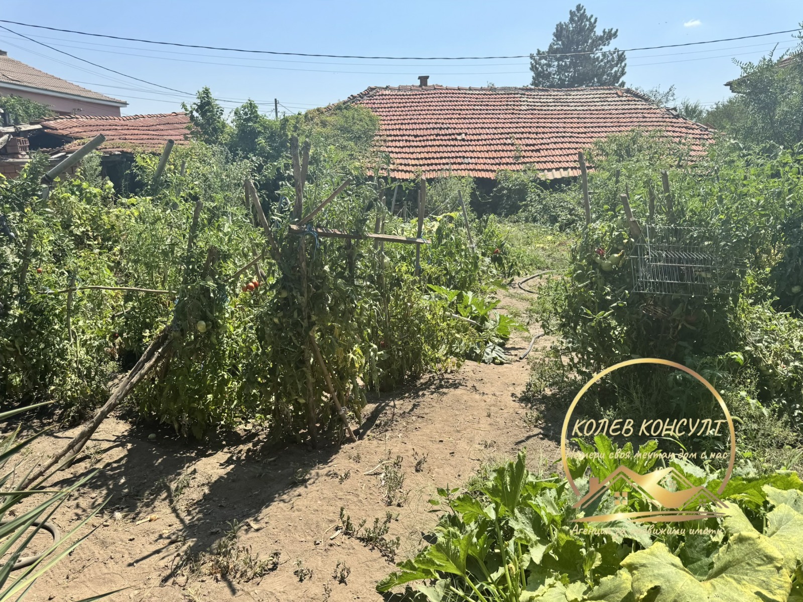 Продава КЪЩА, с. Горски извор, област Хасково, снимка 9 - Къщи - 55566715
