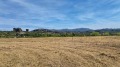 Продава ПАРЦЕЛ, гр. Белоградчик, област Видин, снимка 2