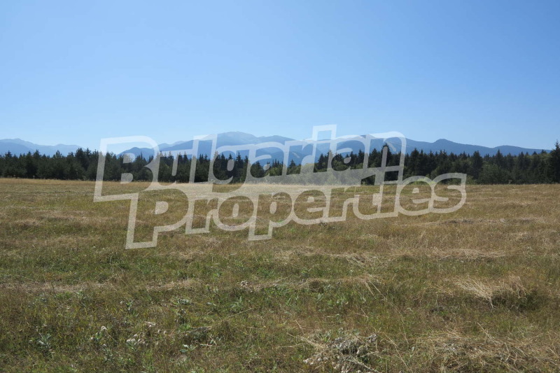 Продава ПАРЦЕЛ в област София, к.к. Боровец - 2501 кв.м / 150 060 € » 293 491.85 лв., БЪЛГЕРИАН ПРОПЕРТИС