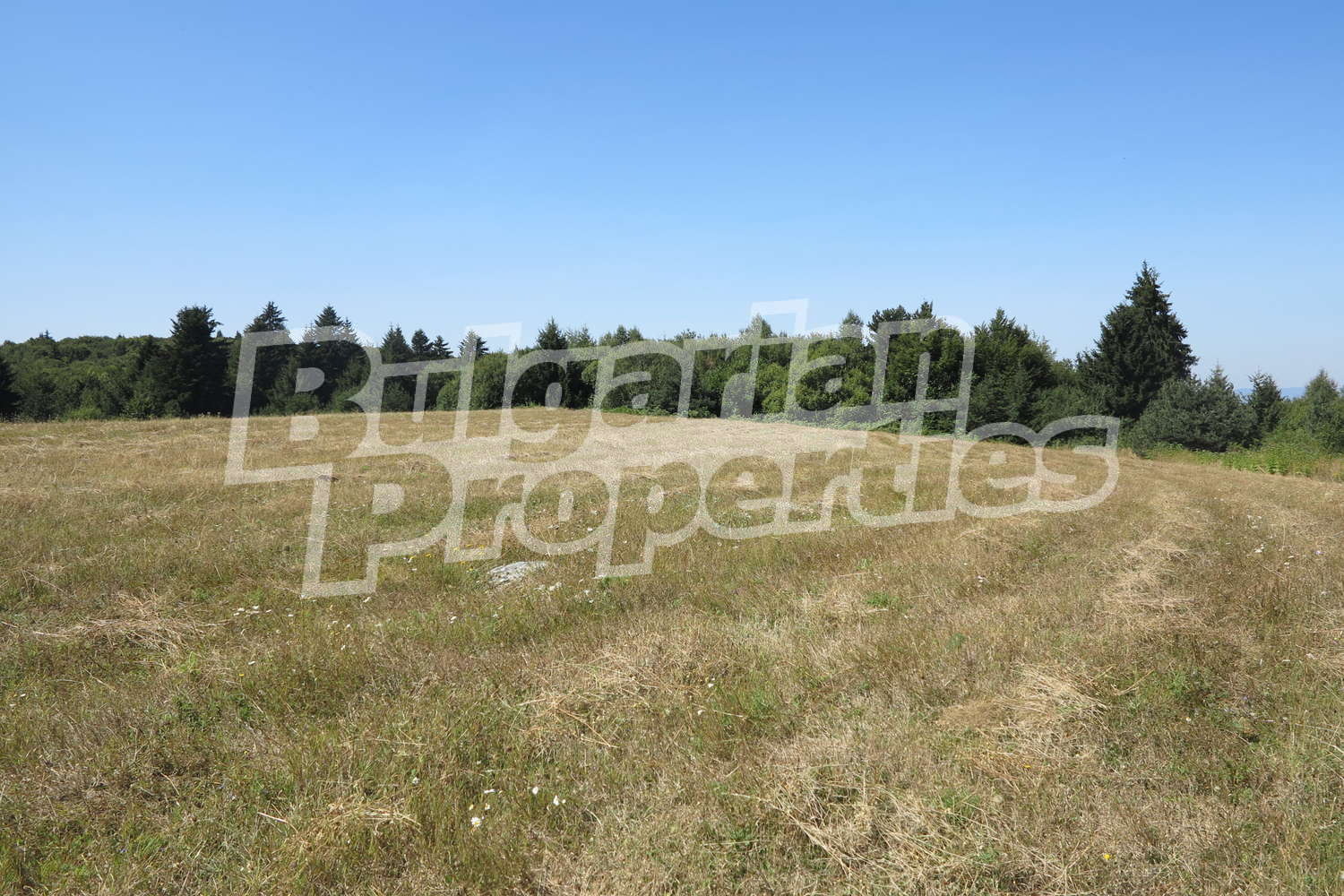 Продава ПАРЦЕЛ | Imot.bg — изображение 9