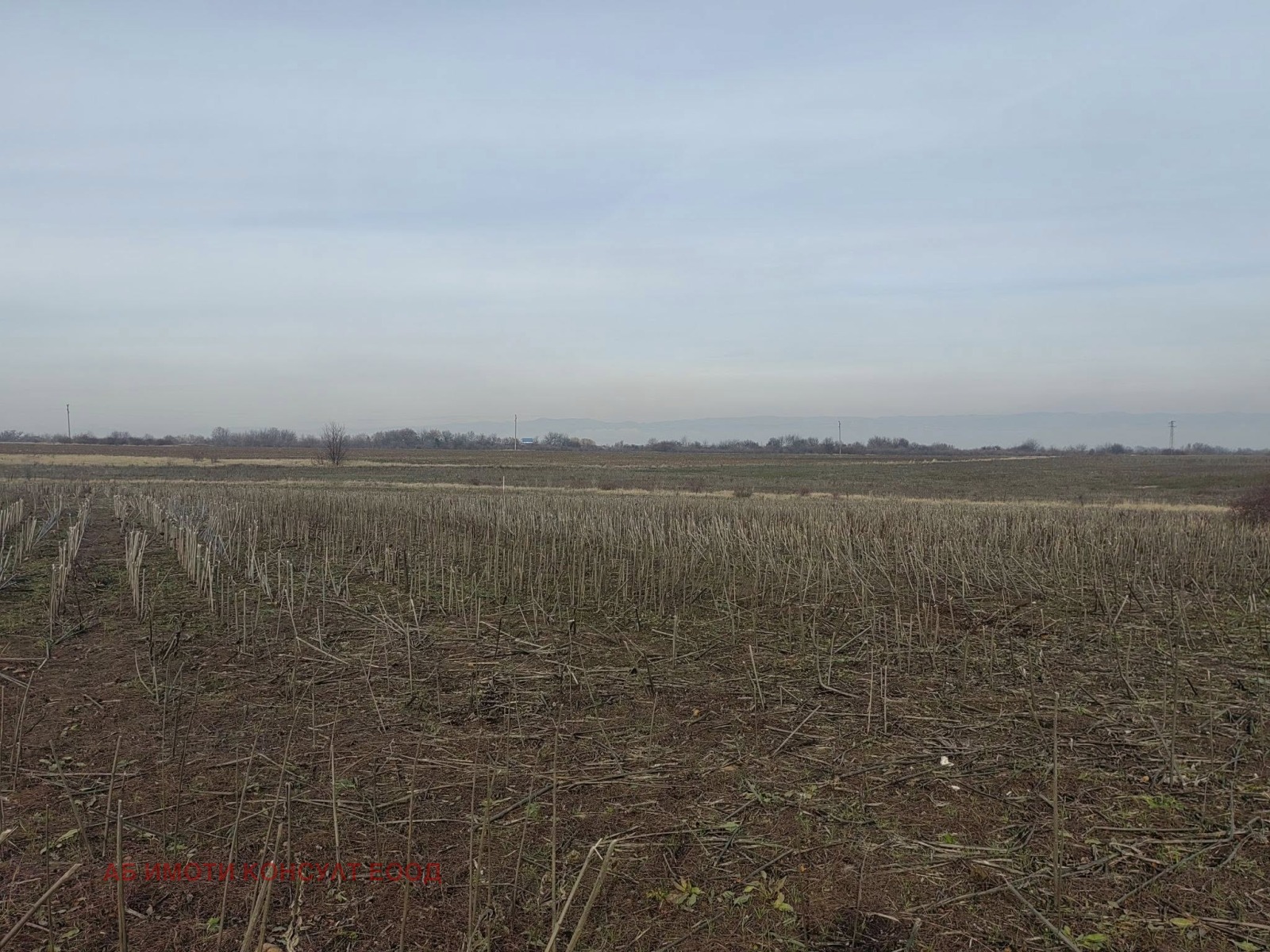 ������� ������ | Imot.bg � ����������� 2