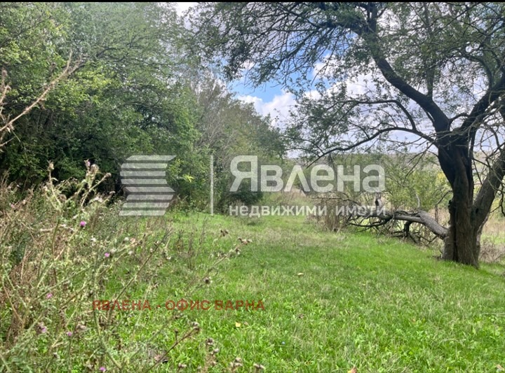 Продава ПАРЦЕЛ, с. Калиманци, област Варна, снимка 1 - Парцели - 48670621