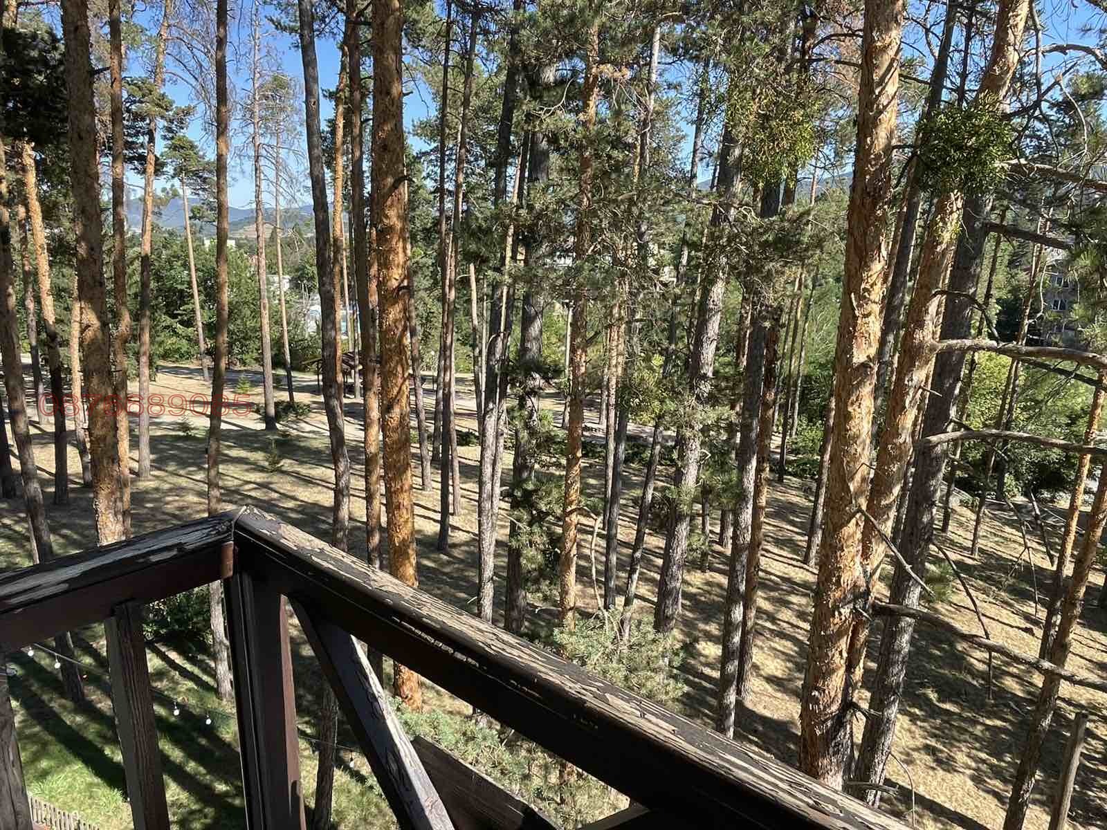 Продава 1-СТАЕН, гр. Велинград, област Пазарджик, снимка 7 - Апартаменти - 55702494