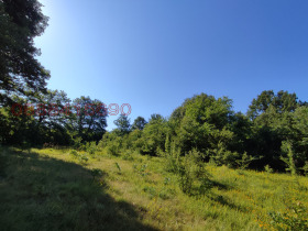 For Sale Plot
