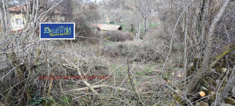 Продава КЪЩА, с. Добромирка, област Габрово, снимка 12 - Къщи - 52213397