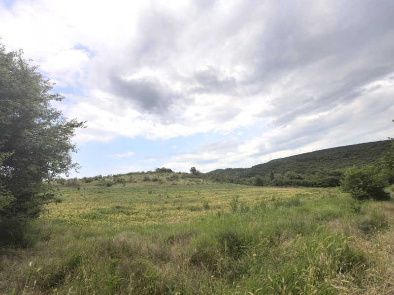 À venda  Trama região Dobrich , Carkva , 8305 m² | 38835360