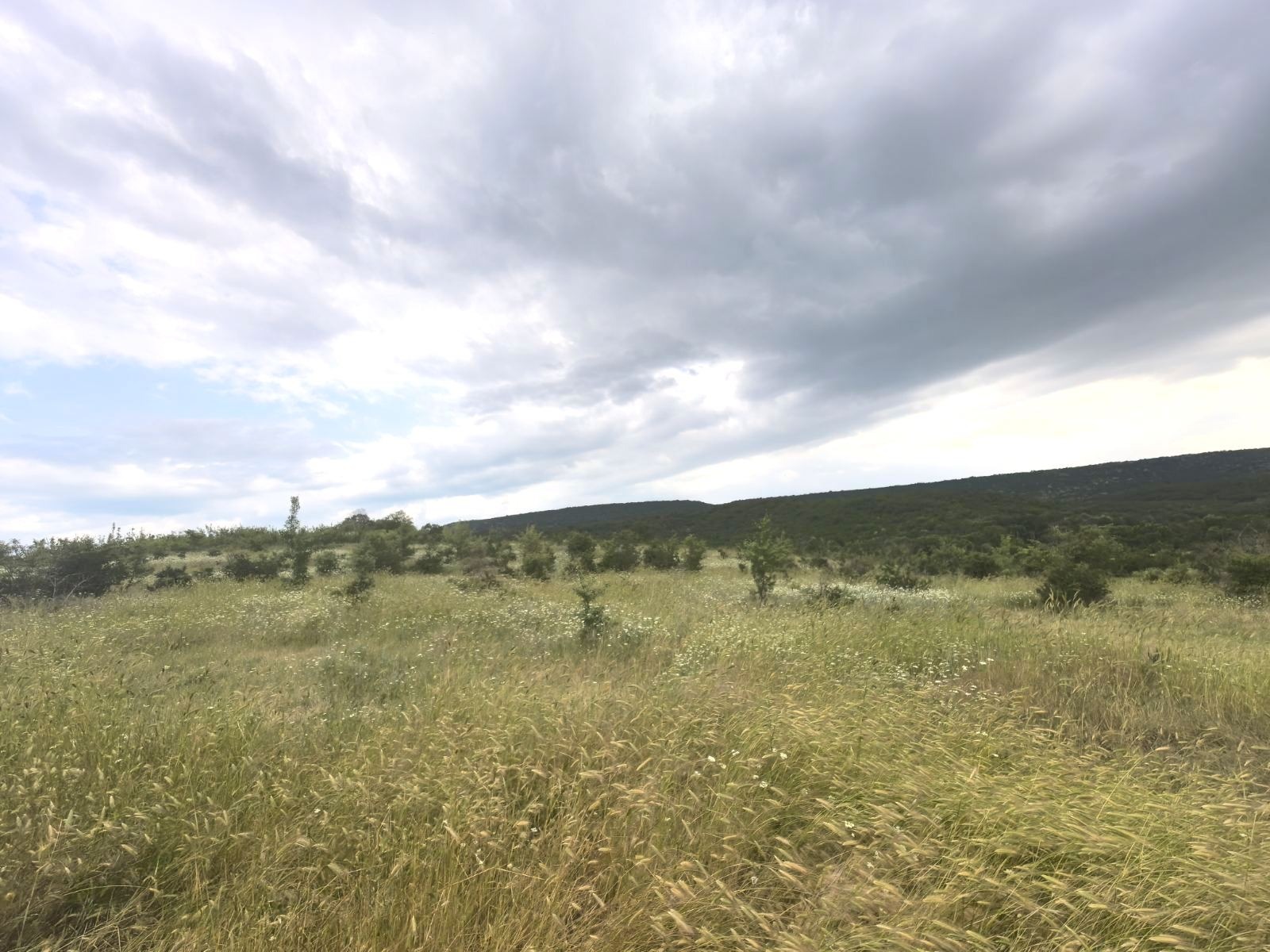 Продава ПАРЦЕЛ, с. Църква, област Добрич, снимка 2 - Парцели - 51585841