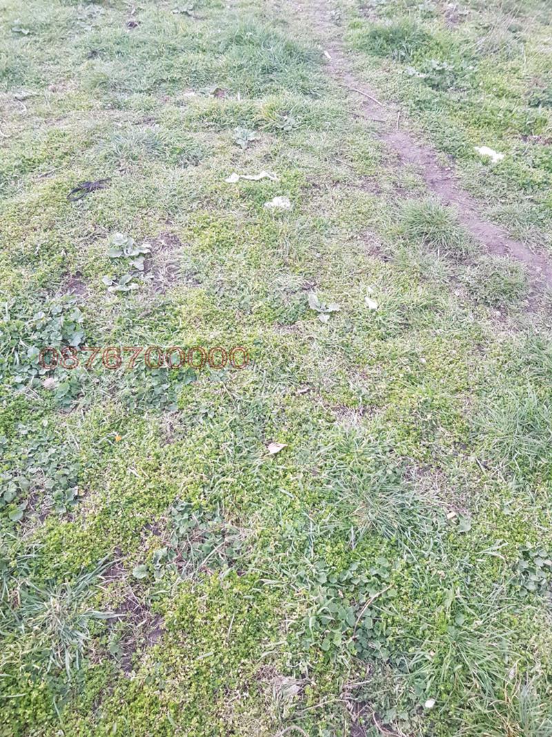 ������� ������ | Imot.bg � ����������� 1