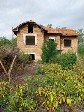 Hus Ovcha mogila, region Veliko Tarnovo
