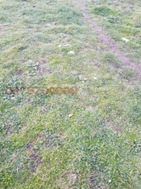 ����� ������� ������,��. ����������, ������ ������ �������