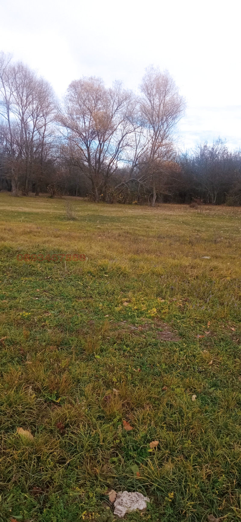 Продава ПАРЦЕЛ, с. Сушина, област Шумен, снимка 5 - Парцели - 52783055