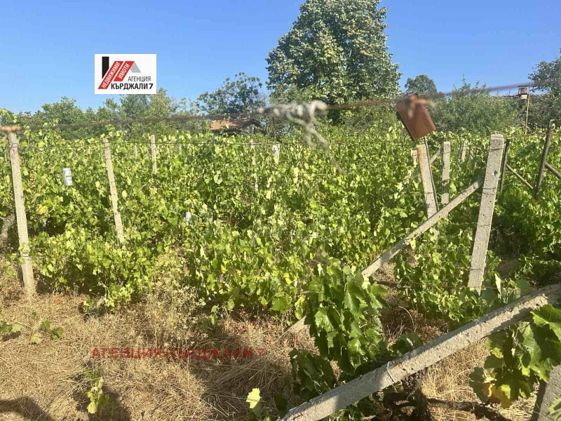 Satılık  Komplo Kardjali , Borovec , 1397 metrekare | 16167900