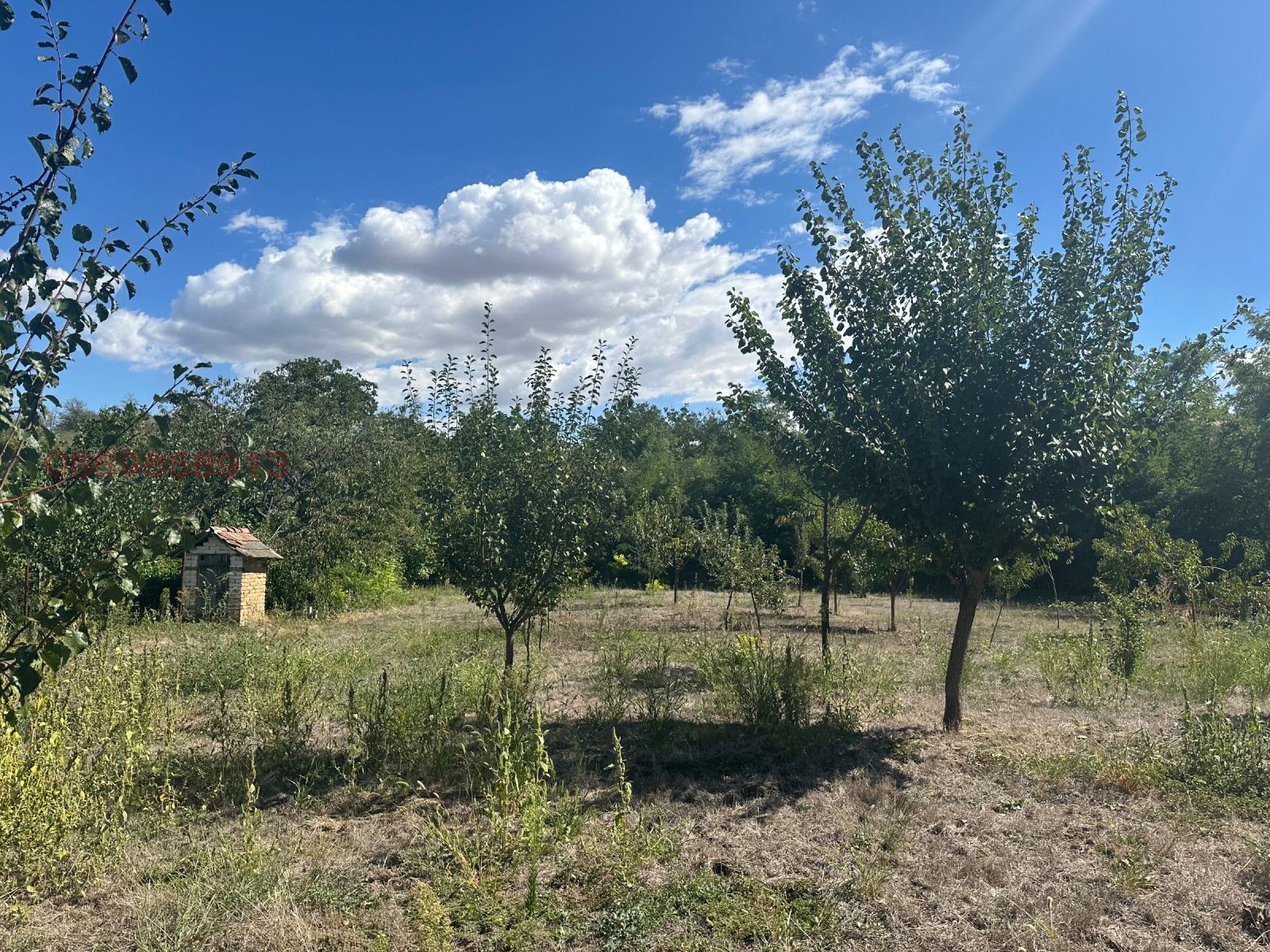 ������� ���� | Imot.bg � ����������� 8