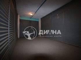 ����� ������� �����,���� �������, ������