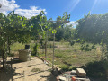 Продава КЪЩА, с. Кулина вода, област Плевен, снимка 3