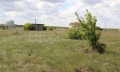 Продава ПАРЦЕЛ, с. Божурец, област Добрич, снимка 5