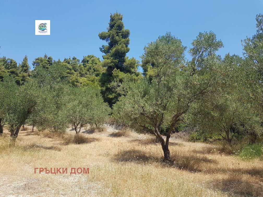 ������� ������ | Imot.bg � ����������� 1