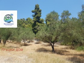 ПАРЦЕЛ, 6 000 m2