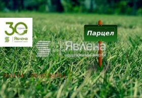 ����� ������� ������,��. ������, ������ ������