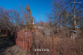 ������ ������� ������