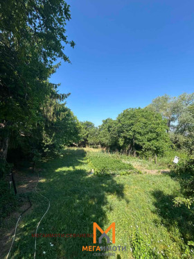 ����� ������� ������,�. ����, ������ �������