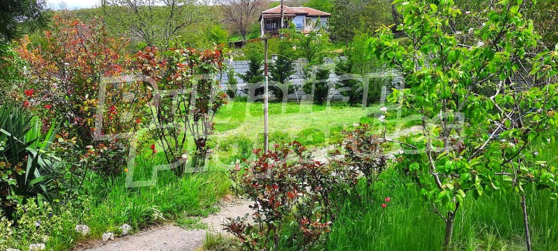 Продава  Къща област Добрич , с. Батово , 114 кв.м | 68021046 - изображение [8]