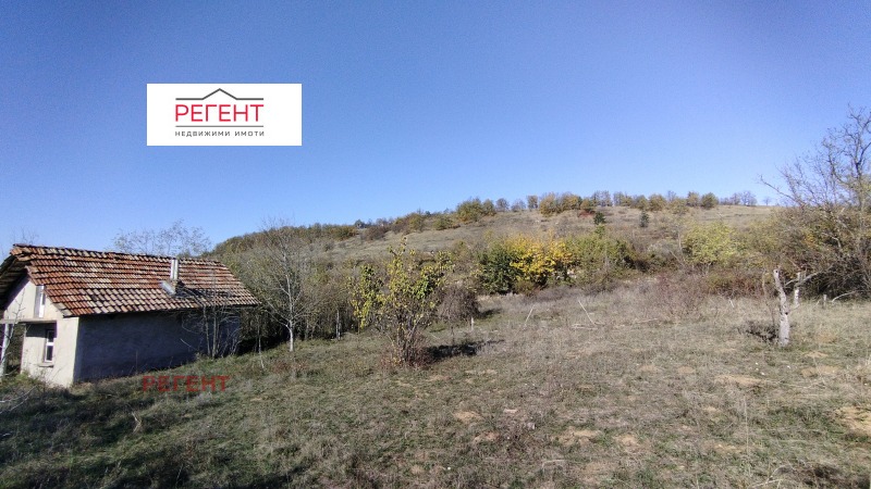 Продава ВИЛА, гр. Дряново, област Габрово, снимка 8 - Вили - 52456525