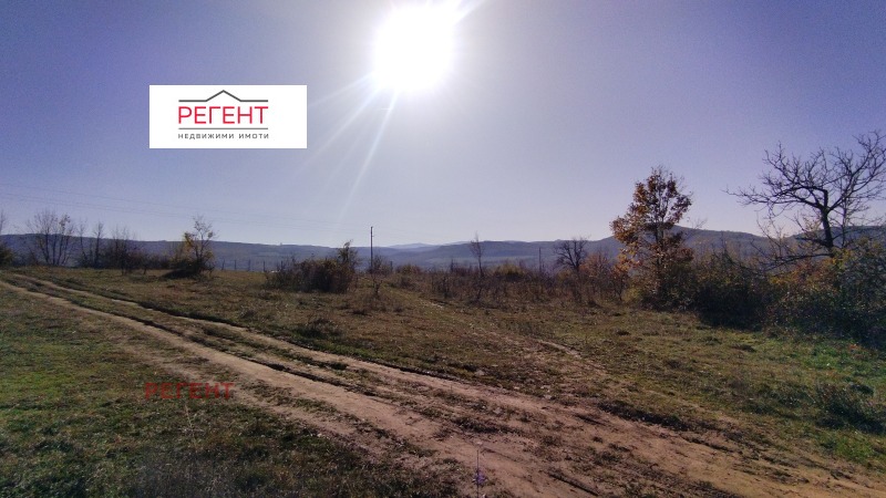 Продава ВИЛА, гр. Дряново, област Габрово, снимка 9 - Вили - 52456525