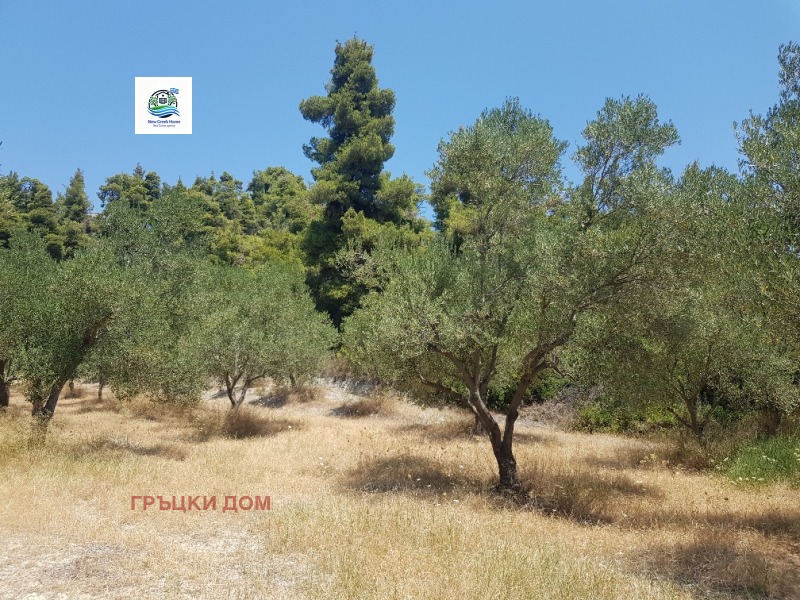 Продава ПАРЦЕЛ, Извън страната, област Извън страната