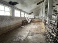 Продава ПРОМ. ПОМЕЩЕНИЕ, област Варна, с. Николаевка • 260000 € • 87929713 — Holmes.bg