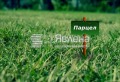 Продава ПАРЦЕЛ, област Добрич, гр. Балчик • 45000 € / 88012.35 лв. • 67834316 1