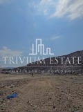 Продава  Парцел област Пловдив , гр. Стамболийски , 46889 кв.м | 83105941 - изображение [2]