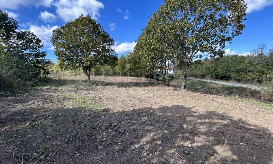 Продава ПАРЦЕЛ | Imot.bg — изображение 5