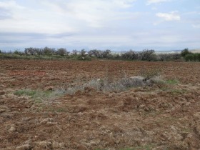 Парцел с. Радиново, област Пловдив