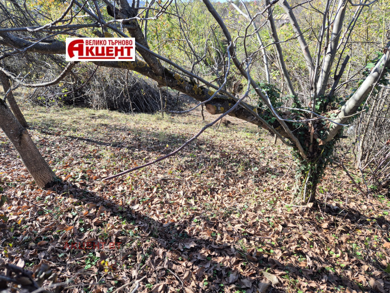 Продава ПАРЦЕЛ, с. Междени, област Габрово, снимка 3 - Парцели - 52306116