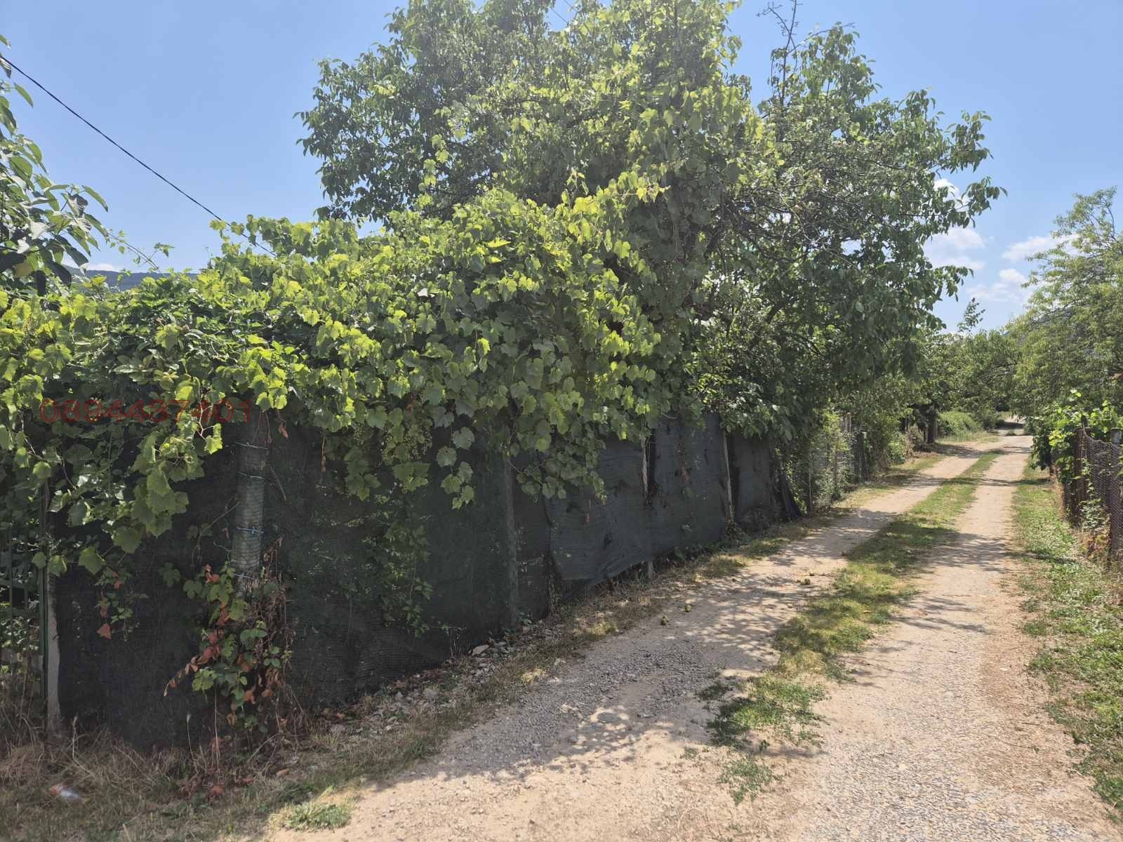 Продава ВИЛА, гр. Търговище, Вилна зона, снимка 13 - Вили - 56630438
