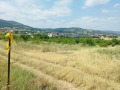Продава ПАРЦЕЛ, с. Марково, област Пловдив, снимка 3