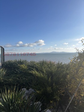 ����� ������� ����,���� ������, ��������