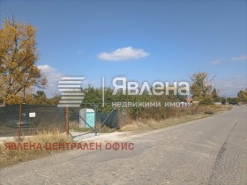 ����� ������� ������,���� �����, ���������