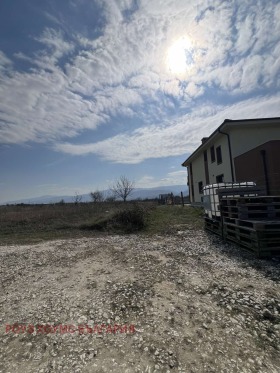 ������ ������� ������