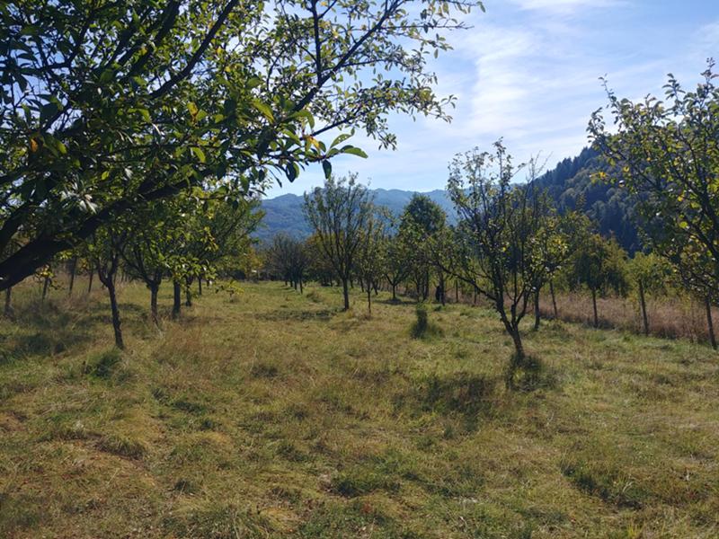 Продава ПАРЦЕЛ, гр. Троян, област Ловеч, снимка 2 - Парцели - 52779710