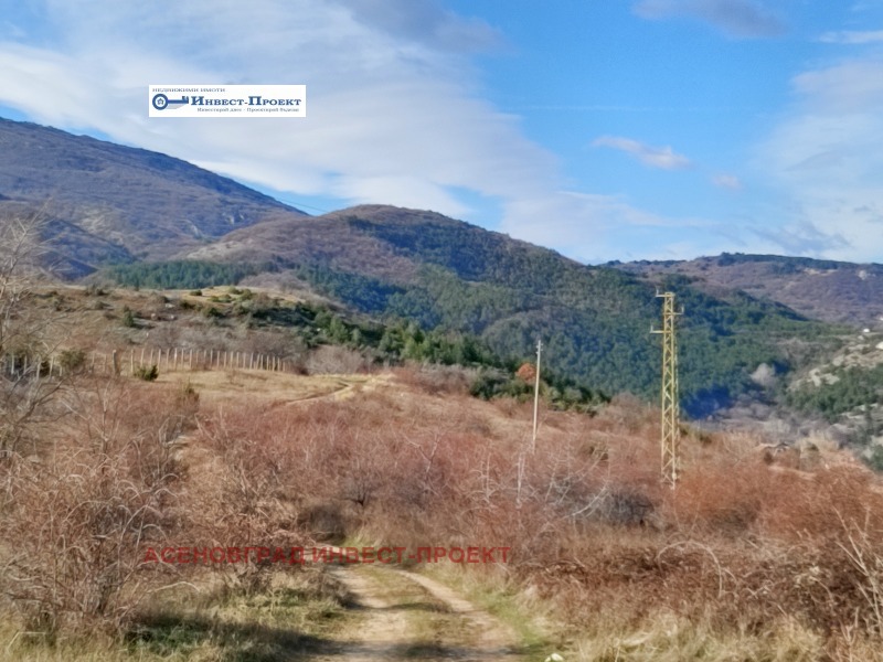 Продава ПАРЦЕЛ, гр. Асеновград, област Пловдив, снимка 5 - Парцели - 53091769