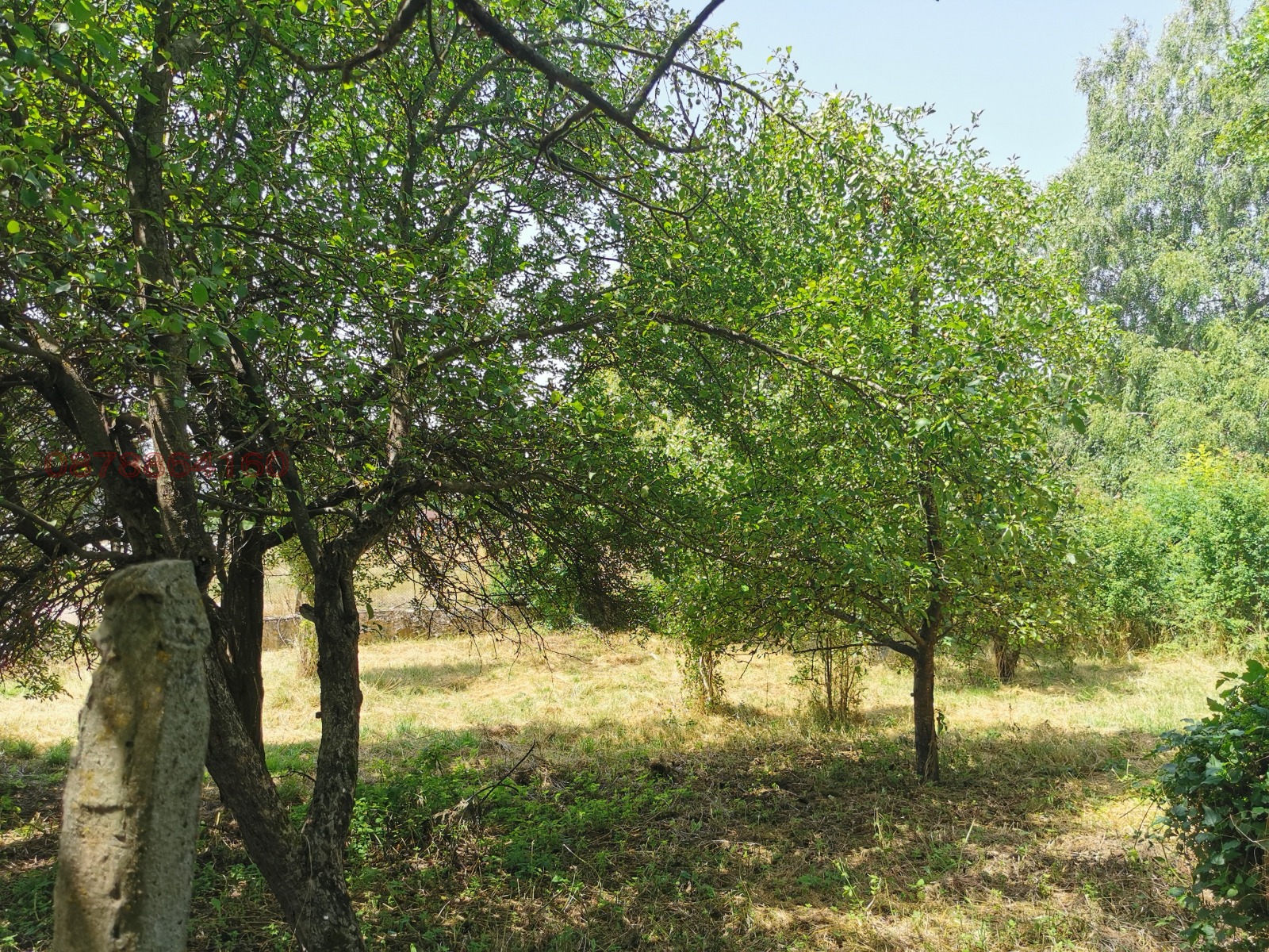 Продава ПАРЦЕЛ, с. Туроковци, област Перник