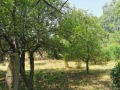 Продава  Парцел област Перник , с. Туроковци , 1150 кв.м | 22436254