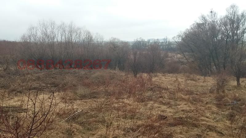 ������� ���������� ���� | Imot.bg � ����������� 6