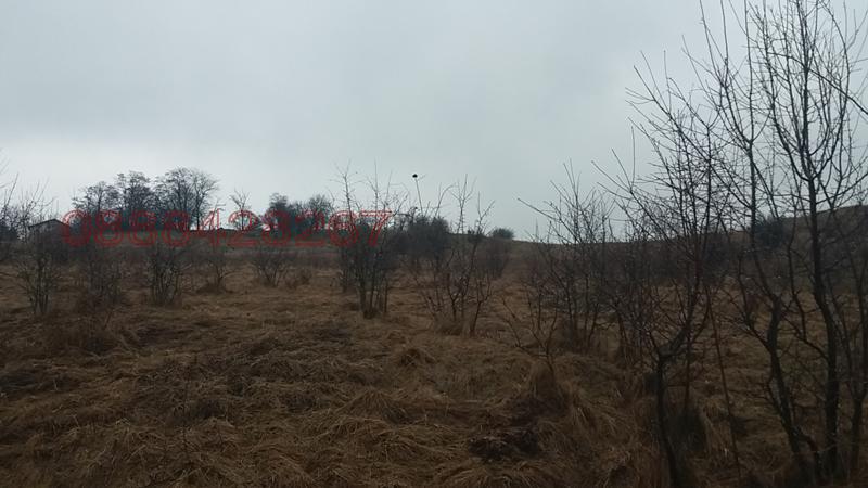 ������� ���������� ���� | Imot.bg � ����������� 5