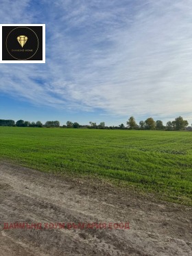 ����� ������� ������,�. �������, ������ �������