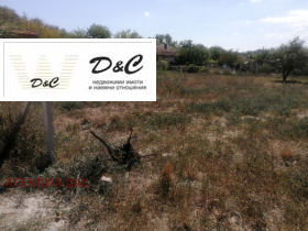 ����� ������� ������,�. ��������, ������ �����